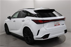 RX500hFスポーツパフォーマンス