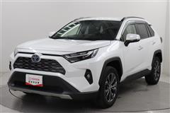 RAV4 HV G