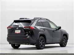 RAV4 アドベンチャー オフロート