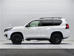 ランクルプラドTX LマットBLC