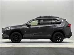 RAV4 アドベンチャー オフロート