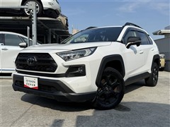 RAV4 アドベンチャー オフロート