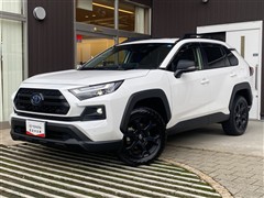 RAV4 HVアドベ オフロード2