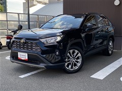 RAV4 G Zパッケージ