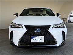 UX250h Fスポーツ