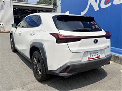 UX250h バージョンC