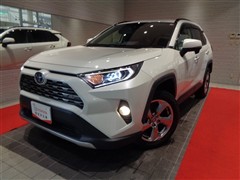 トヨタ RAV4 ハイブリッドG