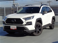 RAV4アドベンチャーオフロード2