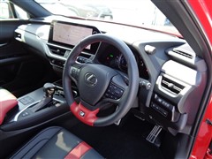 UX250h Fスポエモ EXPL