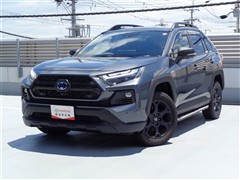 トヨタ RAV4 HV アドベンチャー