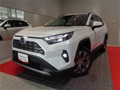 トヨタ RAV4 ハイブリッドG