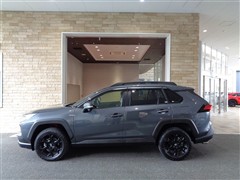 RAV4アドベンチャーオフロード2