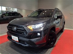 RAV4アドベンチャーオフロード2