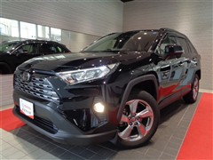 RAV4 G