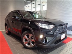 RAV4 G