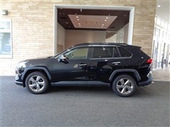 RAV4 G