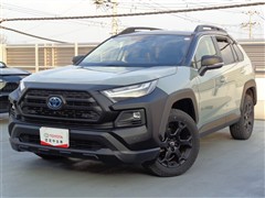 RAV4 HVアドベ オフロード2