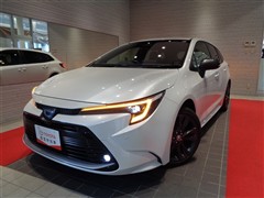 カローラツーリング HV WXB