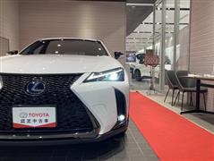 UX250h Fスポーツ