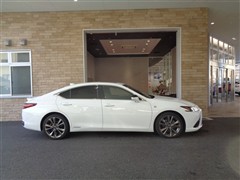 ES300h Fスポーツ