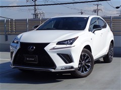 NX300h クール&ブライト