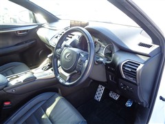 NX300h クール&ブライト