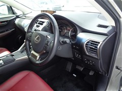 NX300h バージョンL