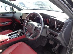 NX350h
