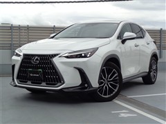 NX250