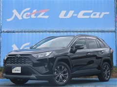 RAV4 G ヒョウガイシャ