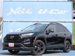 トヨタ RAV4 HVアドベ オフロード2