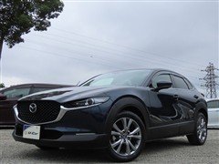 CX-30 20Sプロアクテツーリンク
