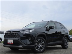 RAV4 G