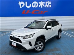 RAV4 X