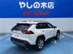 RAV4 G