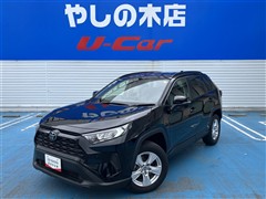 RAV4 X