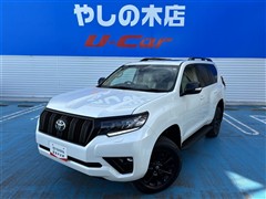 トヨタ ランクル プラドTX LマットBLC
