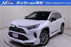 RAV4 G Zパッケージ 4WD