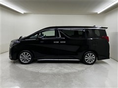 アルファード Sタイプゴ-ルド2