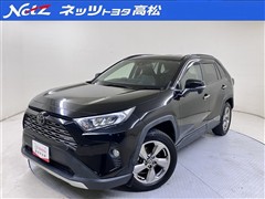 RAV4 G