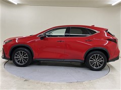 NX250 ヒョウジュンシャ