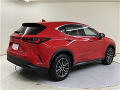 NX250 ヒョウジュンシャ
