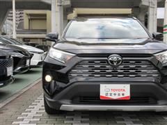 RAV4 G