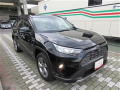 RAV4 G