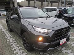 RAV4 アドベンチャー オフロート