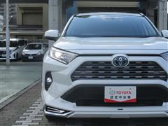 RAV4 HV G