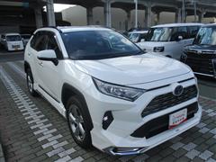 RAV4 HV G
