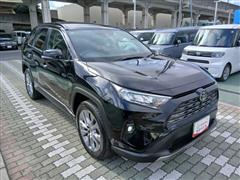 RAV4 G Zパッケージ