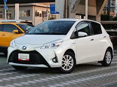 ヴィッツHV F セーフティED2