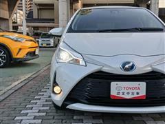 ヴィッツHV F セーフティED2